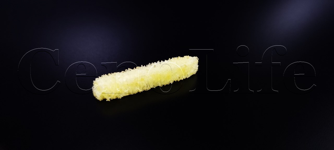 Matchstick (Kibrit)